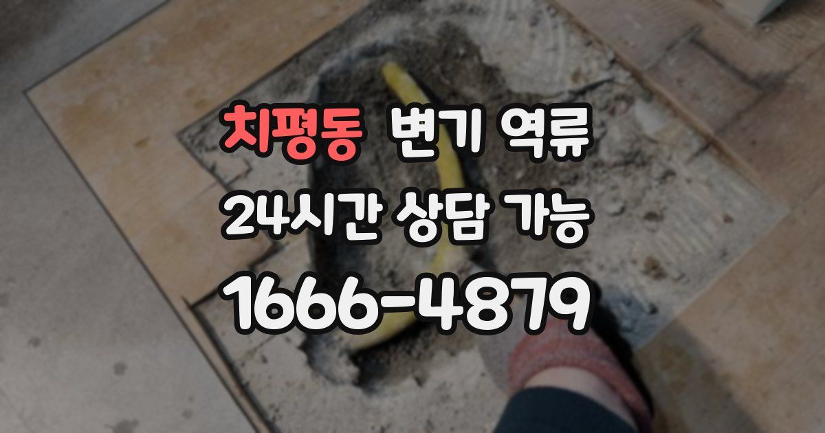 치평동 변기 역류