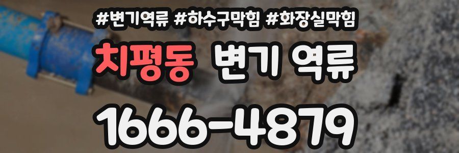 치평동 변기 역류