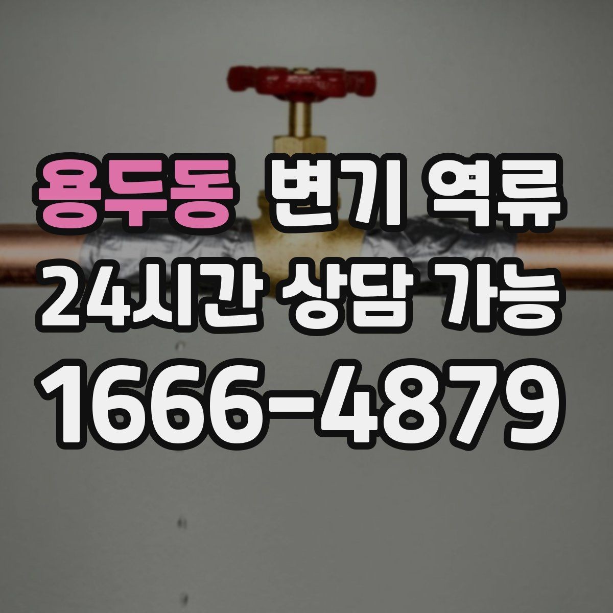 용두동 변기 역류 우리 집만의 문제가 아닐 수 있는 신호