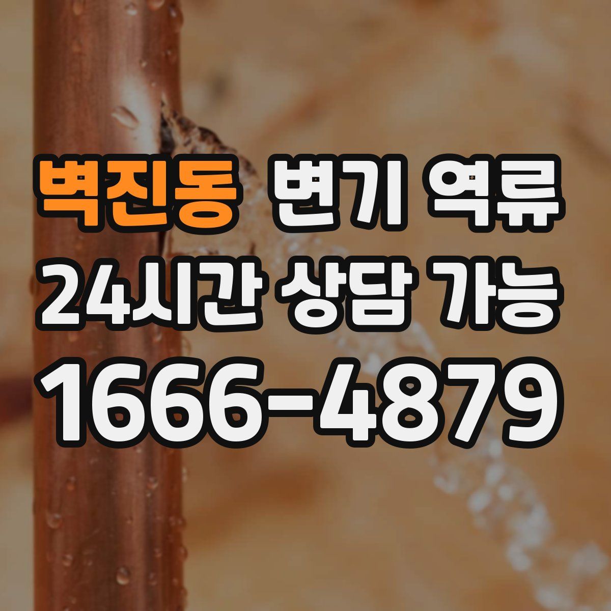 벽진동 변기 역류