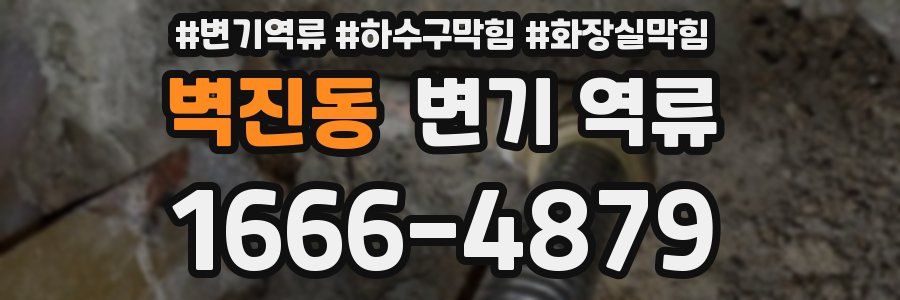 벽진동 변기 역류