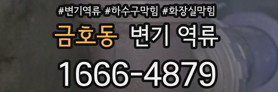 금호동 변기 역류