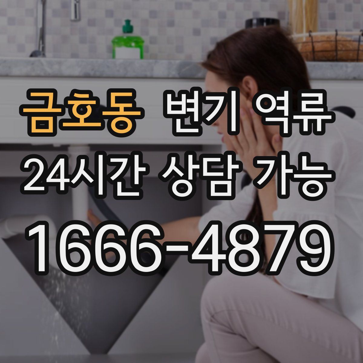 금호동 변기 역류