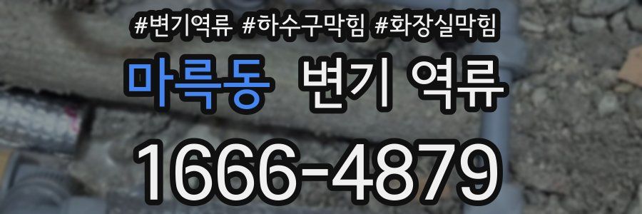 마륵동 변기 역류