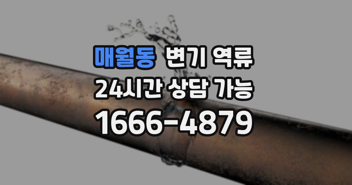 매월동 변기 역류