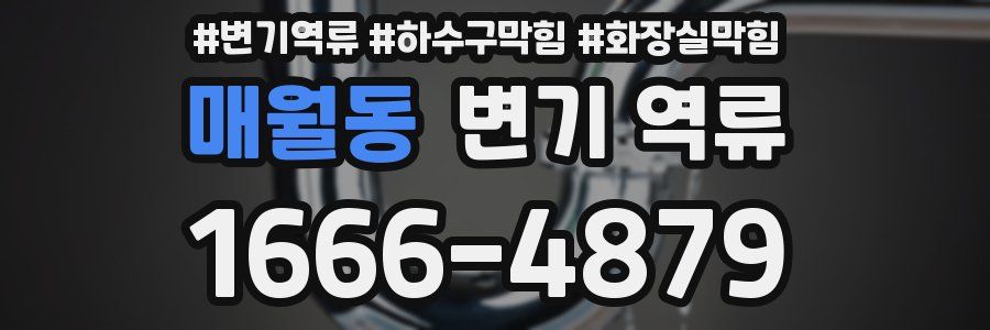 매월동 변기 역류