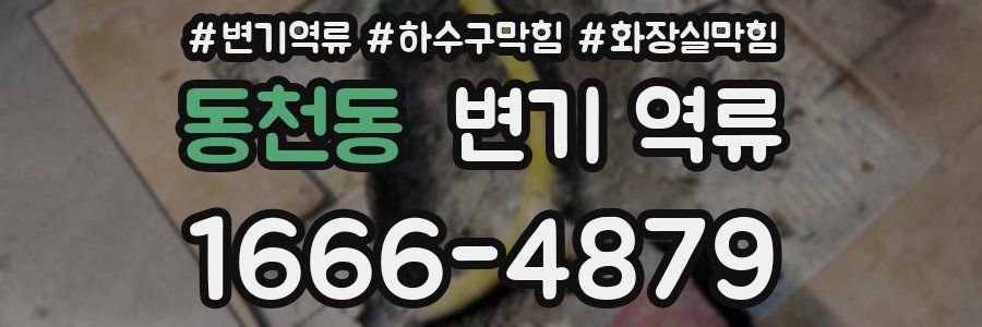 동천동 변기 역류