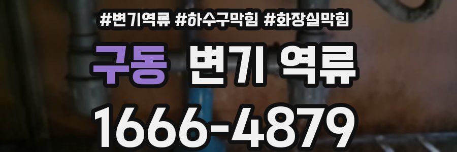 구동 변기 역류