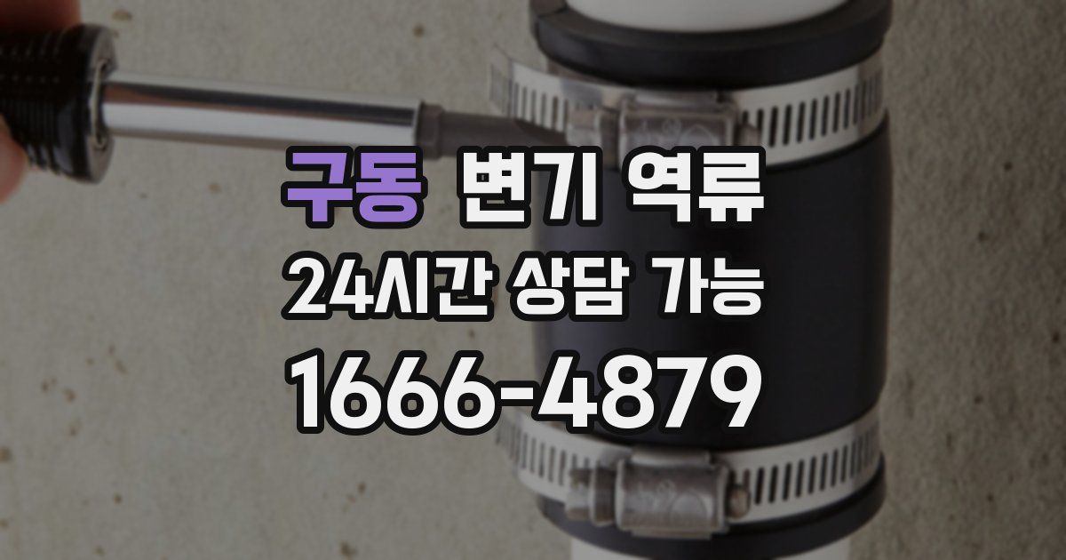 구동 변기 역류