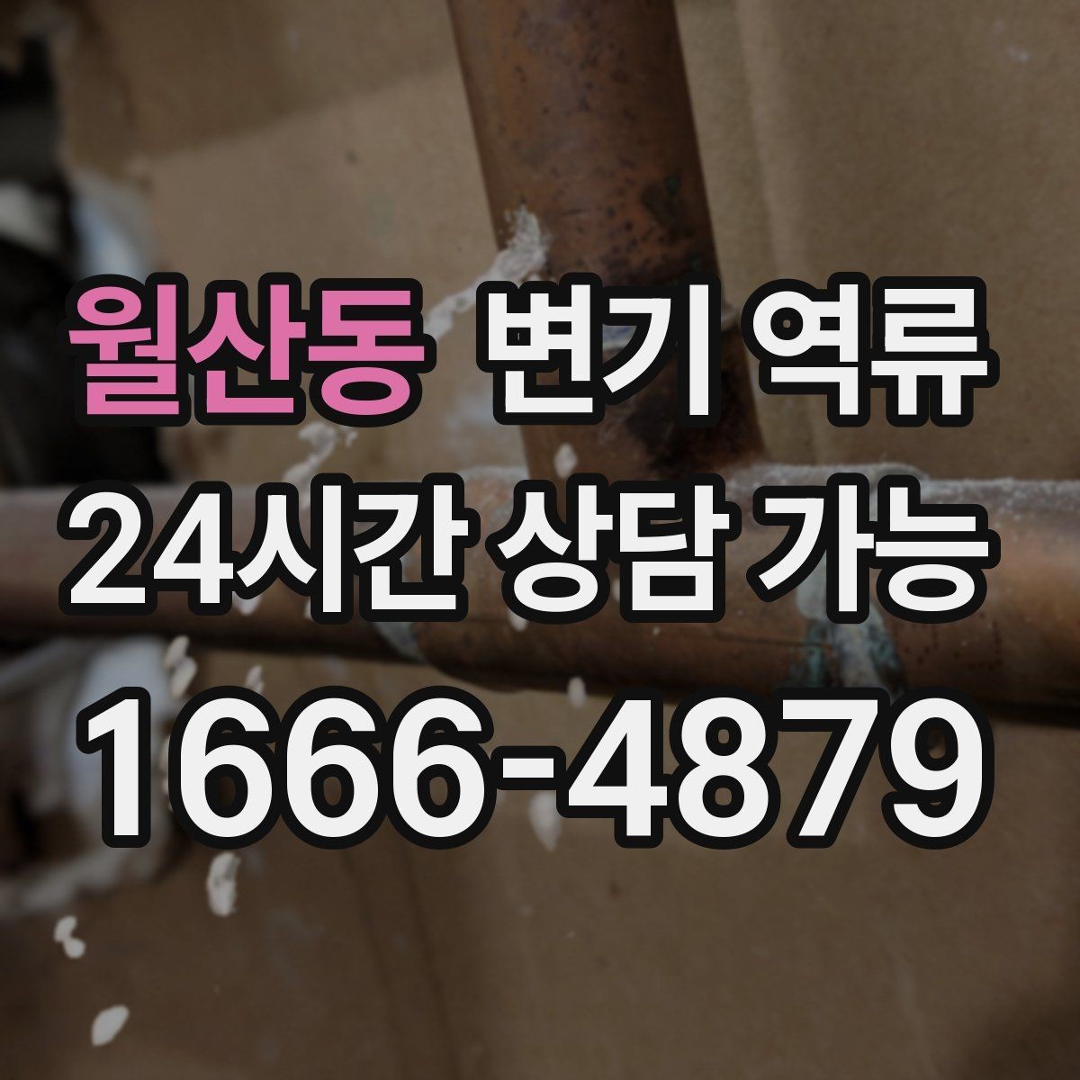 월산동 변기 역류 청소 도구를 분리해야 하는 이유