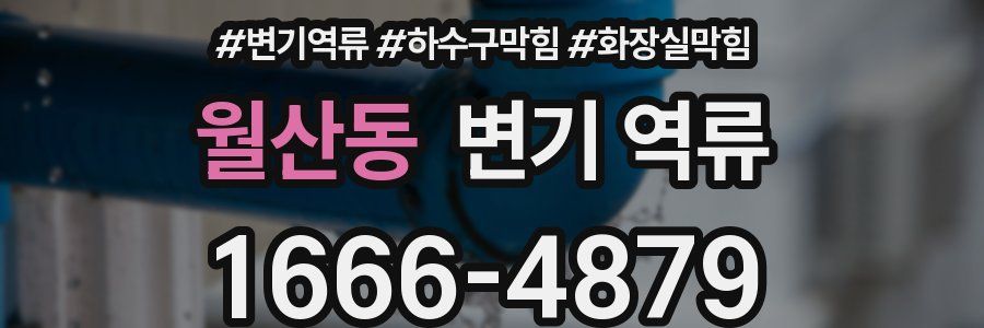 월산동 변기 역류