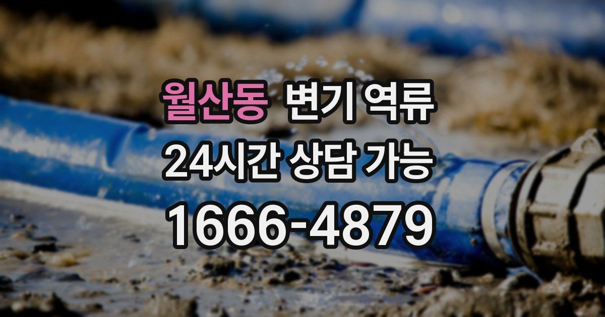월산동 변기 역류
