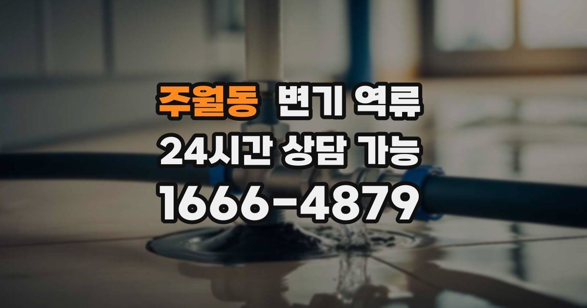 주월동 변기 역류