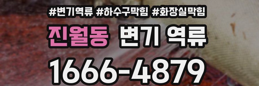 진월동 변기 역류