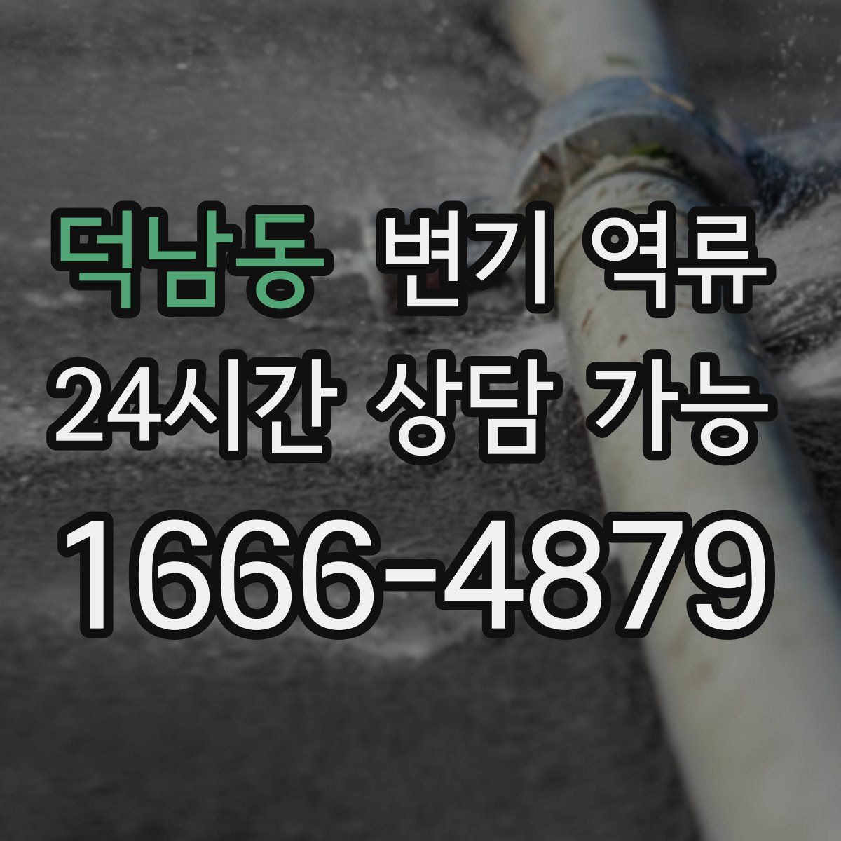 덕남동 변기 역류