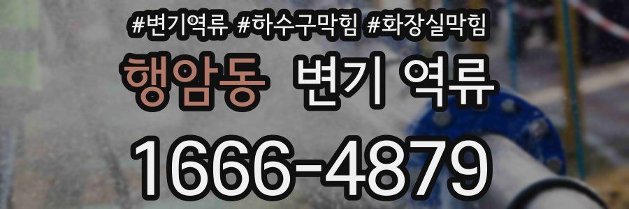 행암동 변기 역류