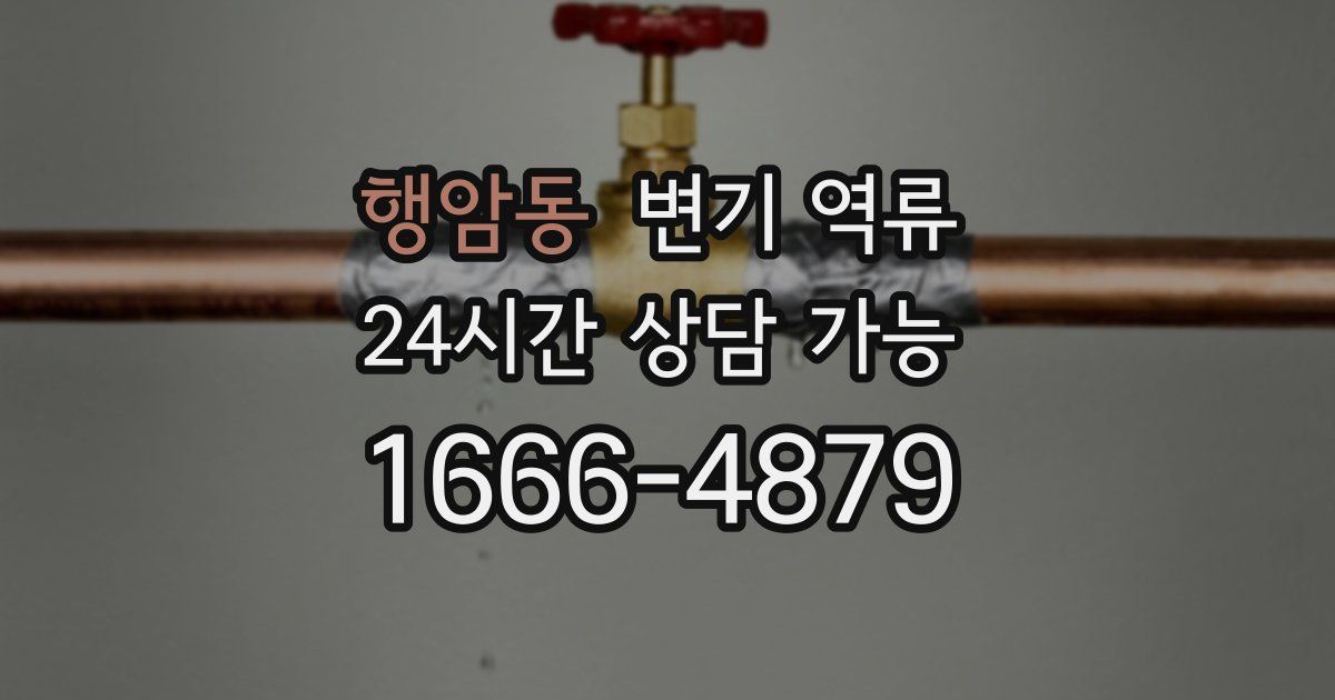 행암동 변기 역류