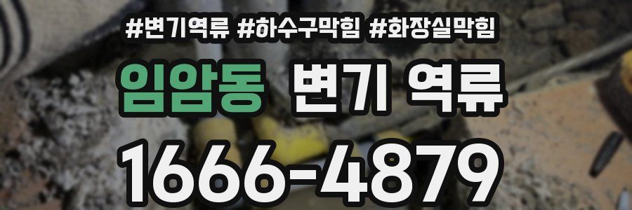 임암동 변기 역류