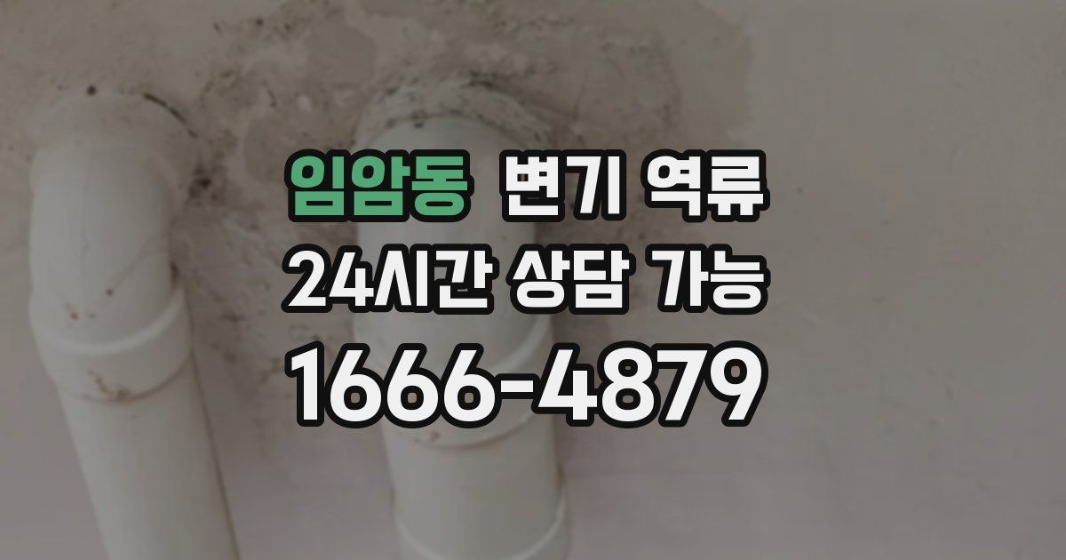 임암동 변기 역류