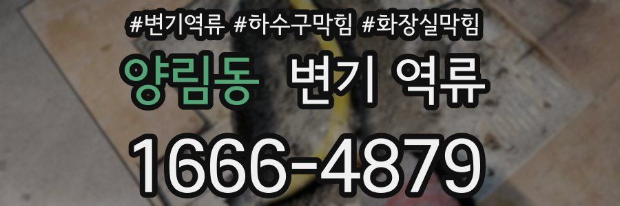 양림동 변기 역류