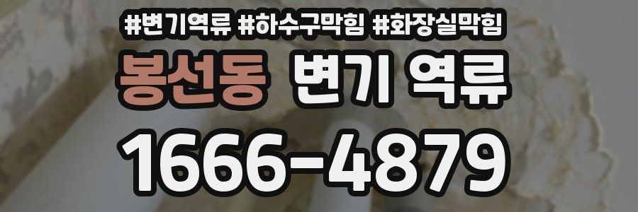 봉선동 변기 역류