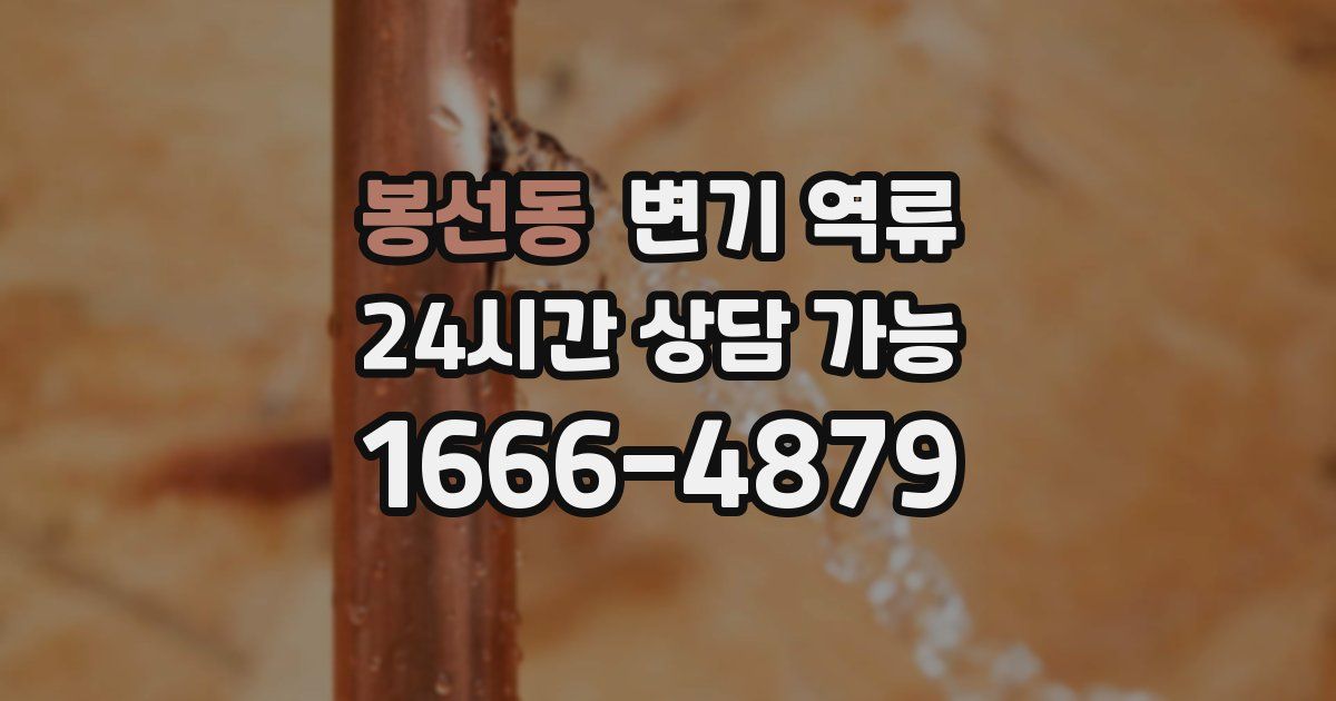 봉선동 변기 역류