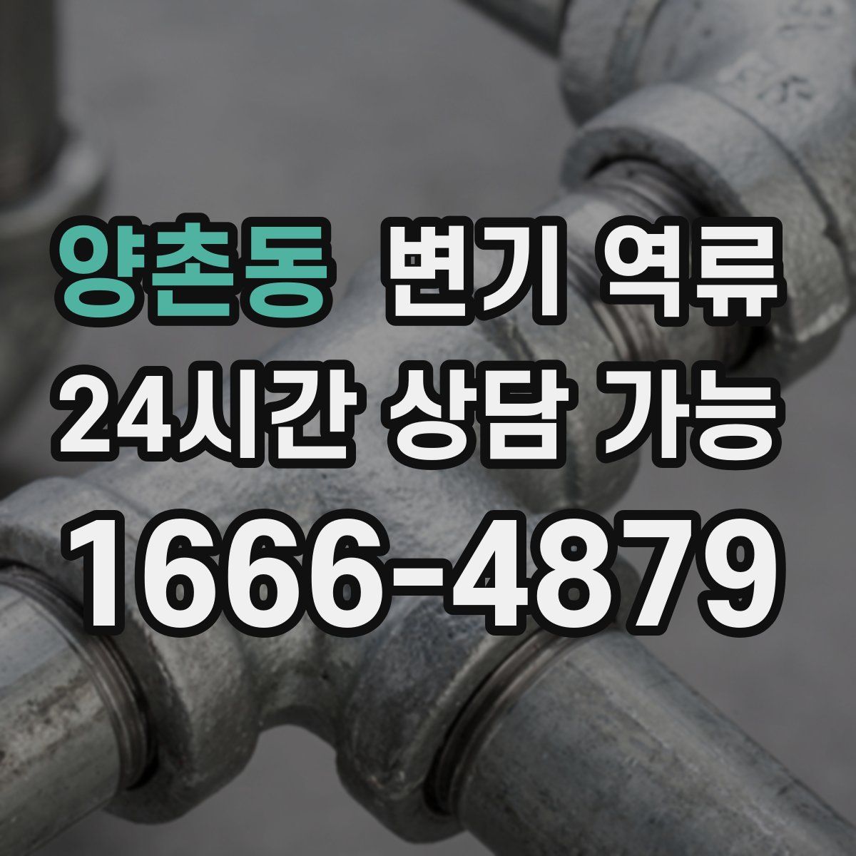 양촌동 변기 역류