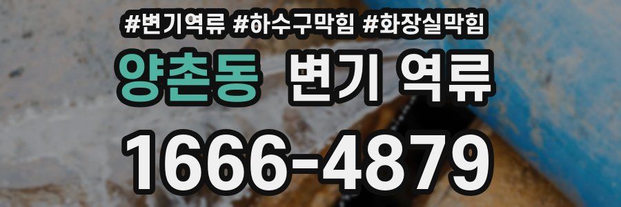 양촌동 변기 역류