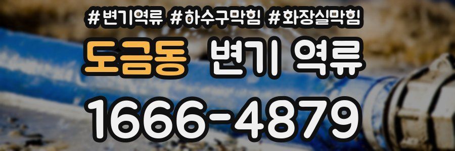 도금동 변기 역류