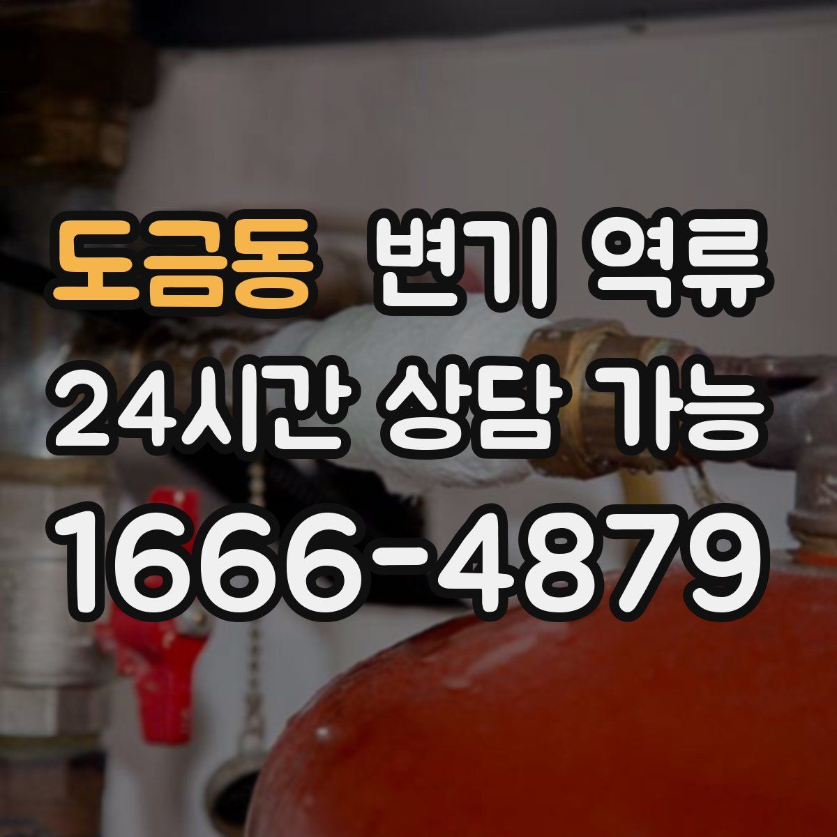 도금동 변기 역류