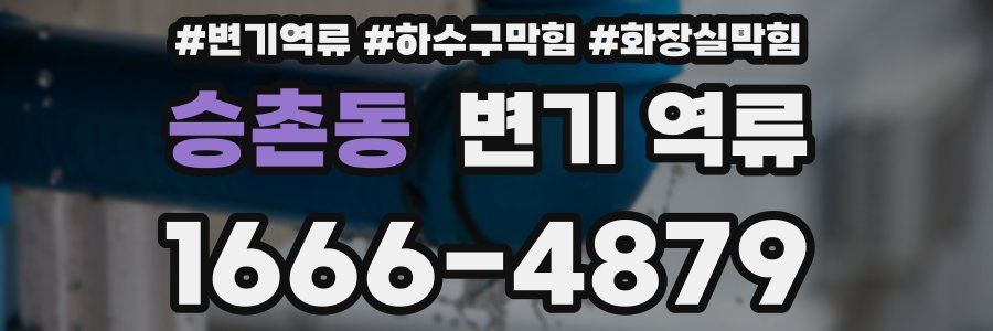 승촌동 변기 역류