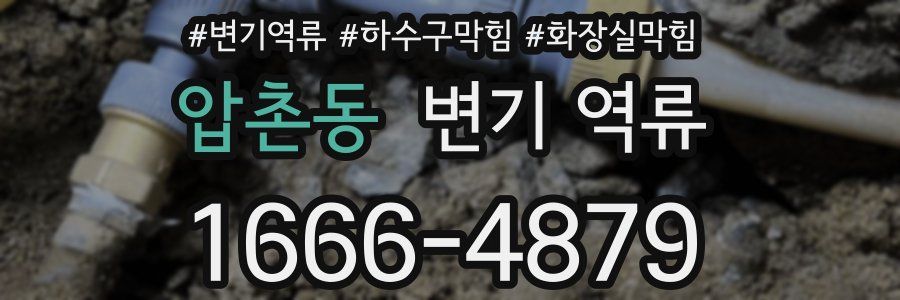 압촌동 변기 역류