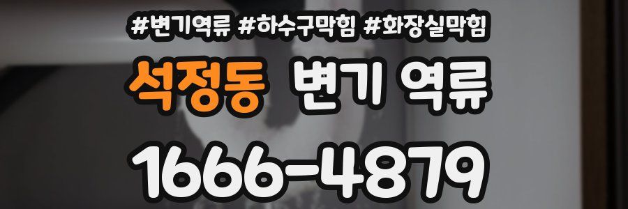 석정동 변기 역류