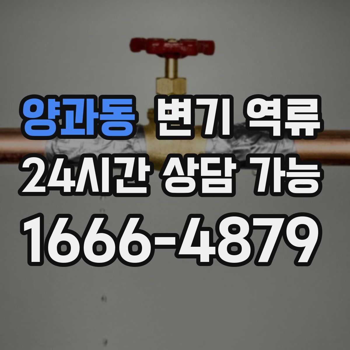 양과동 변기 역류