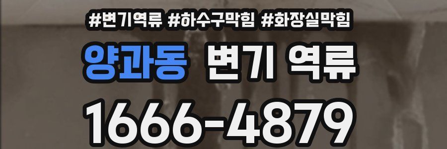 양과동 변기 역류