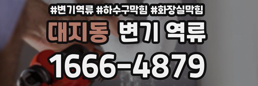 대지동 변기 역류