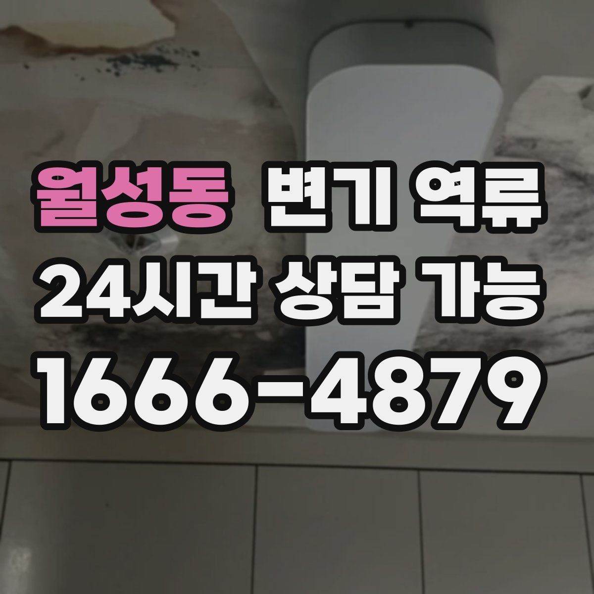 월성동 변기 역류 공용 화장실 관리에서 자주 놓치는 부분