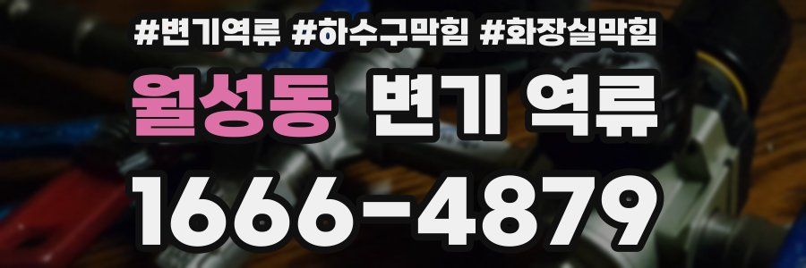 월성동 변기 역류