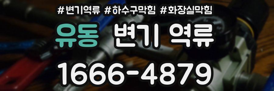 유동 변기 역류