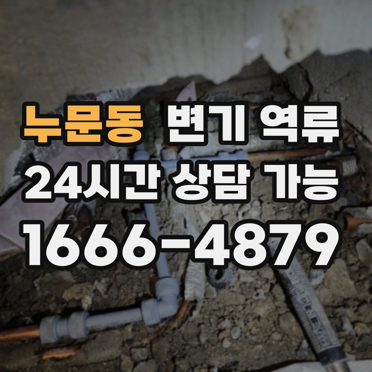 누문동 변기 역류