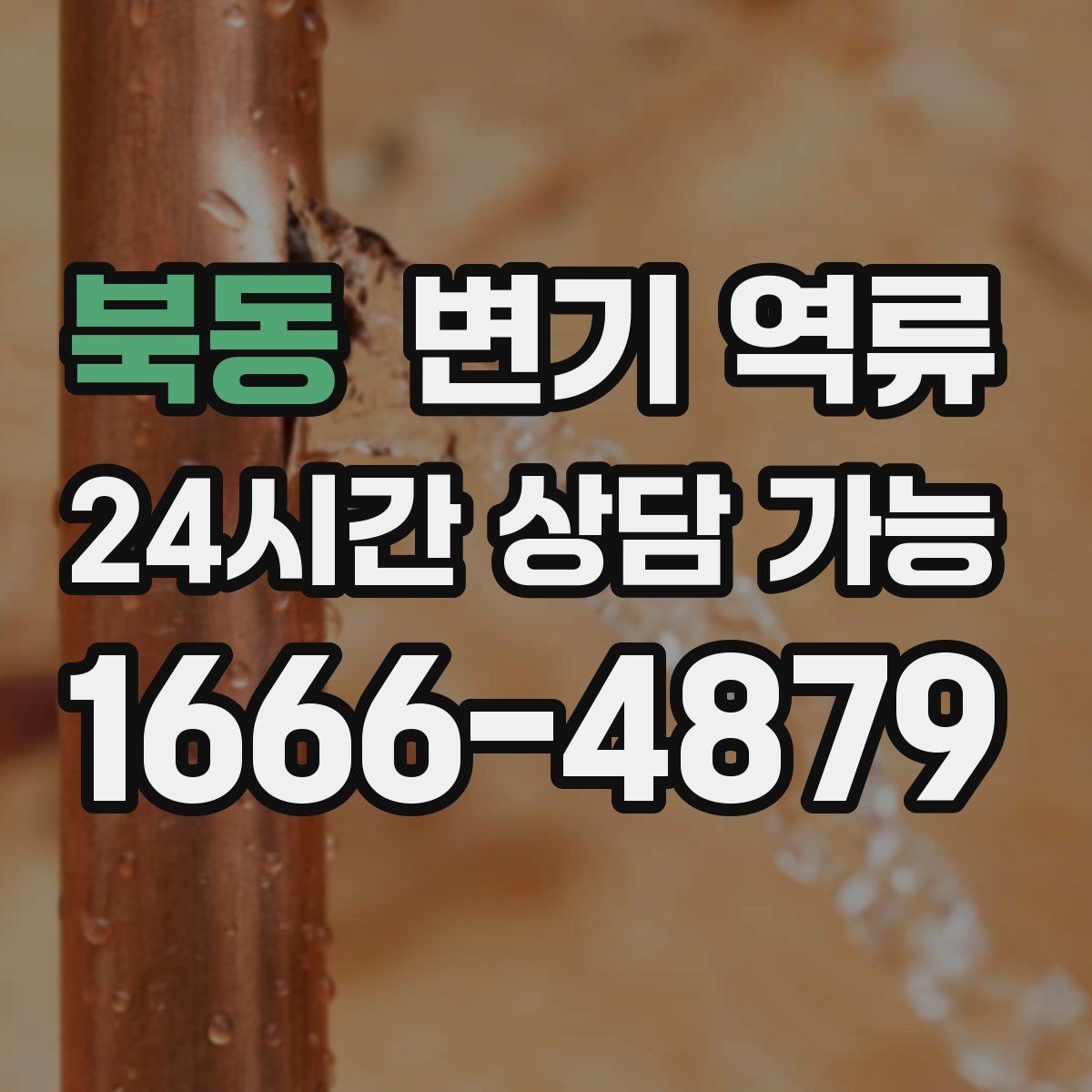 북동 변기 역류 압력으로 밀어 넣으면 공용 라인이 막힐 수 있을까