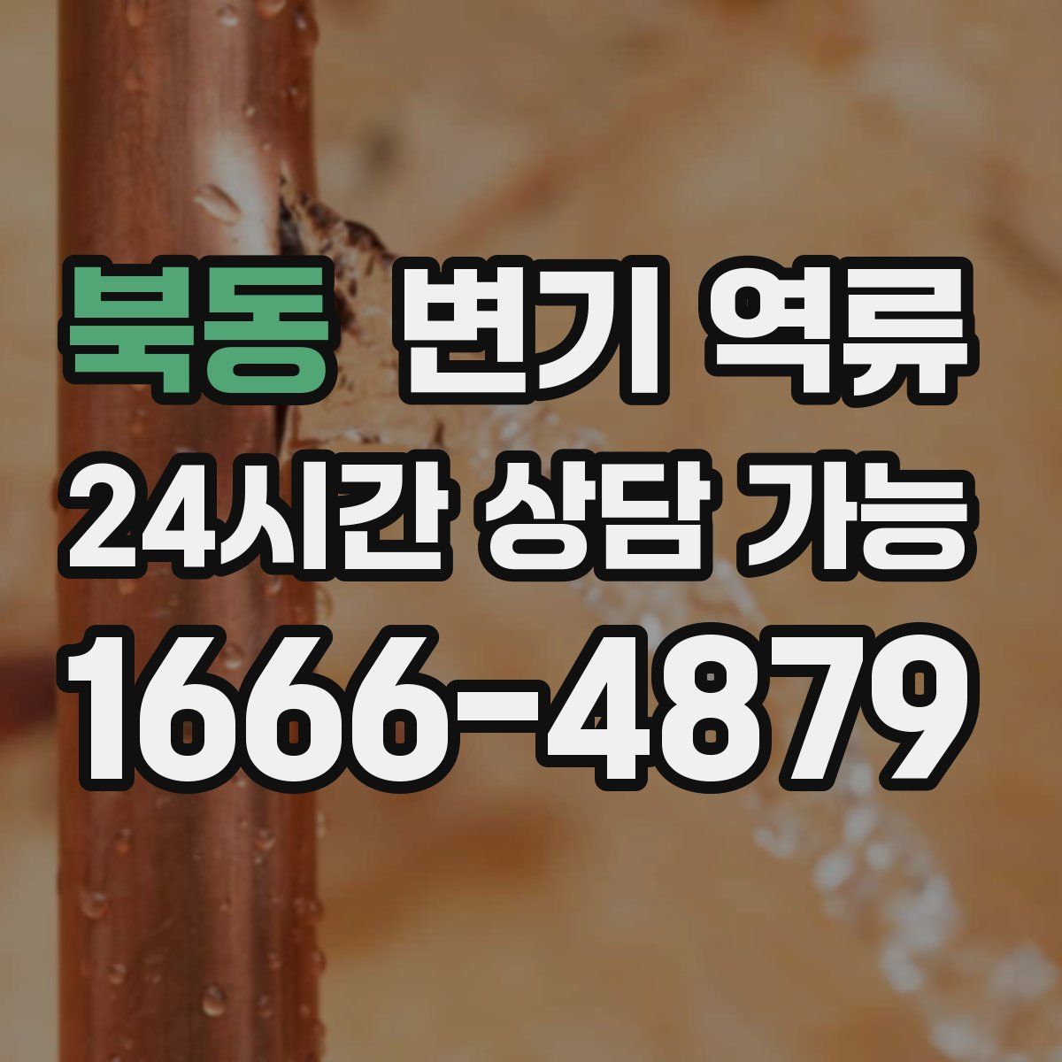 북동 변기 역류