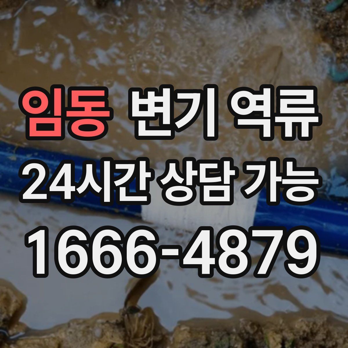 임동 변기 역류 한 번 넘쳤다면 반드시 점검해야 할 이유