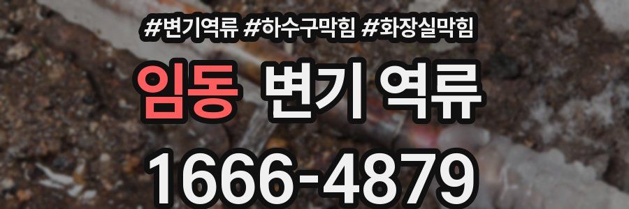 임동 변기 역류