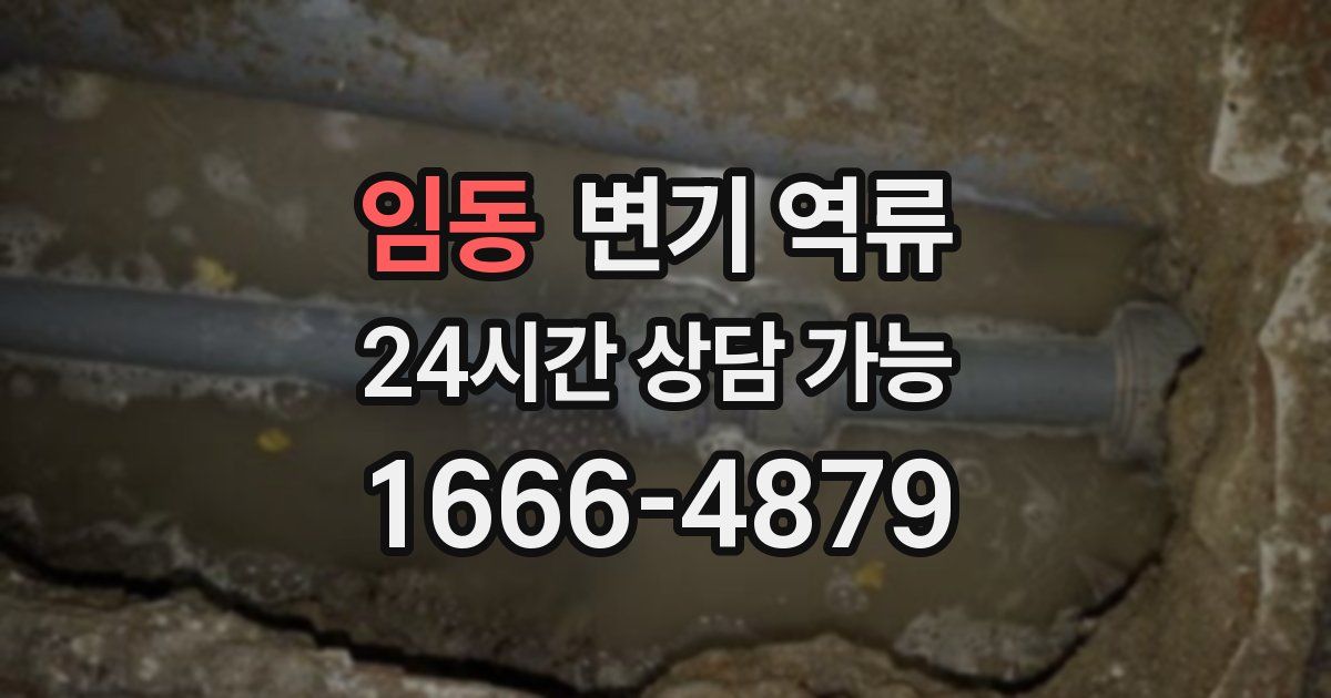 임동 변기 역류