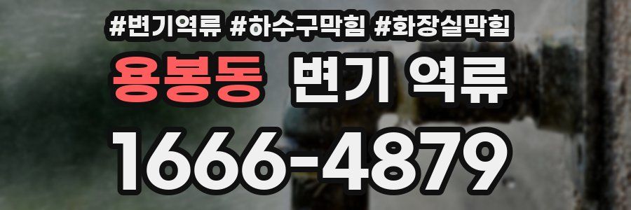 용봉동 변기 역류