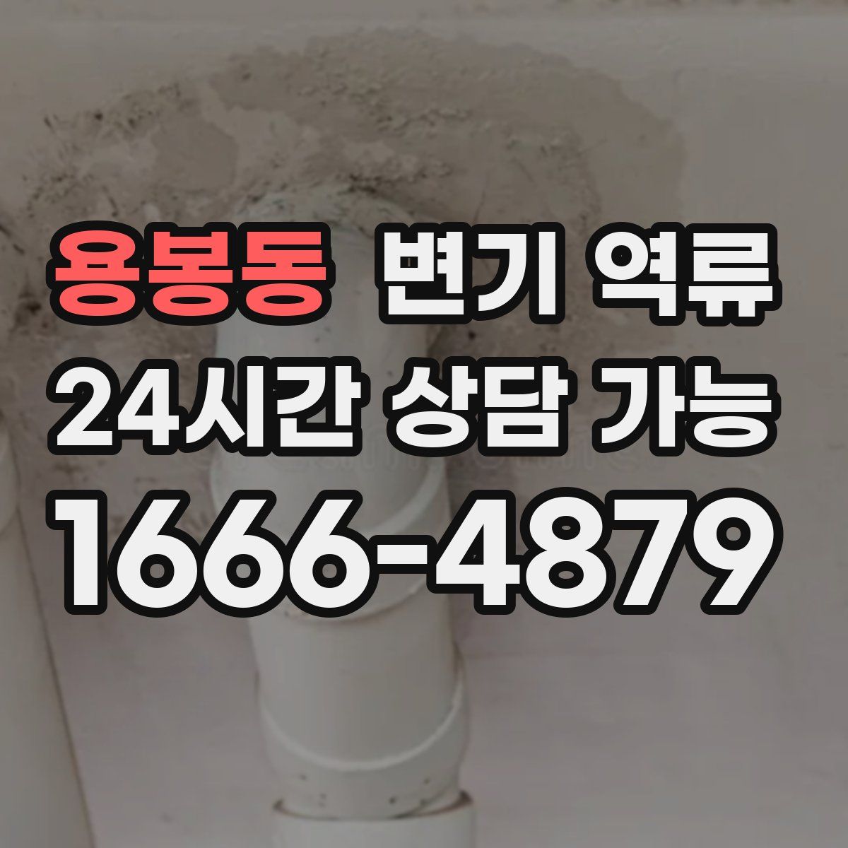 용봉동 변기 역류