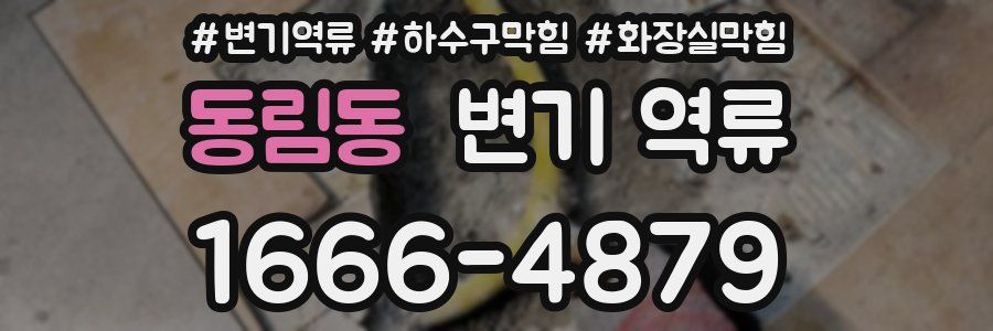 동림동 변기 역류