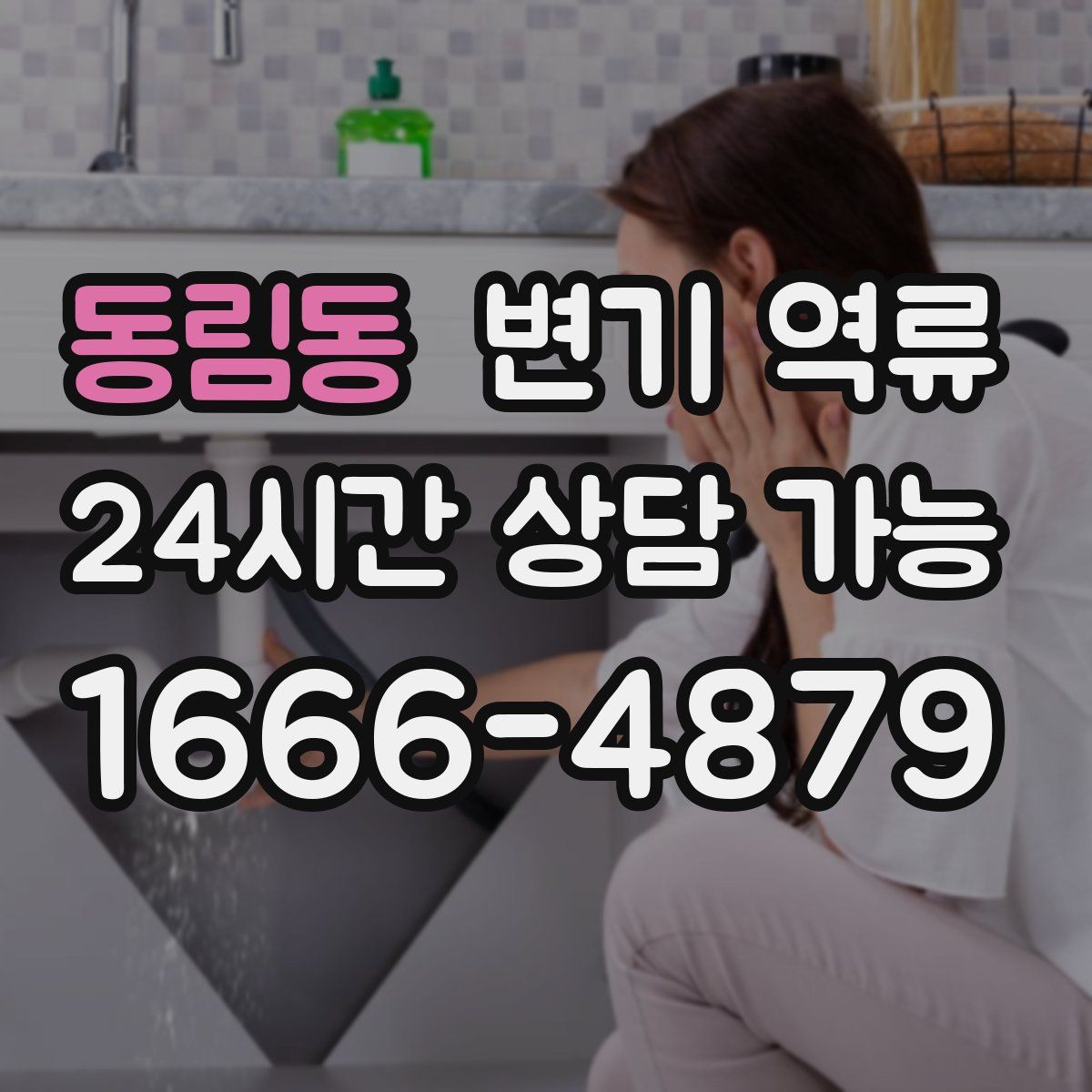 동림동 변기 역류