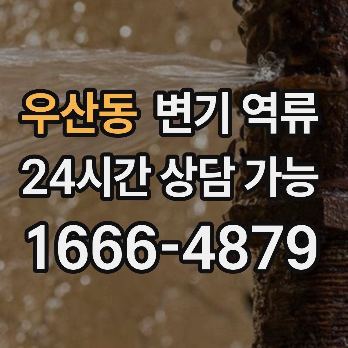 우산동 변기 역류 레버를 눌러도 수위만 오를 때 원인 추정